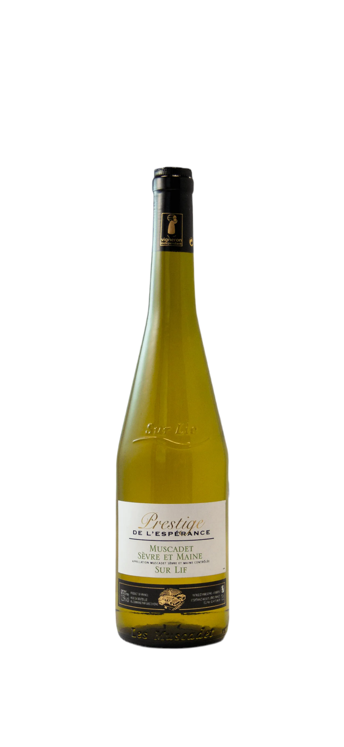 Vin blanc sec : Muscadet Sèvre et Maine